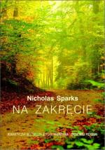 Okładka Na zakręcie