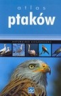 Okładka Atlas ptaków