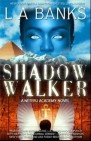 Okładka Shadow Walker (Neteru Academy, #1)