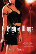 Okładka A Rush of Wings