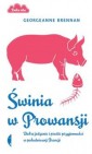 Okładka Świnia w Prowansji. Dobre jedzenie i proste przyjemności w południowej Francji