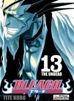 Okładka Bleach #13