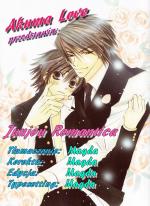 Okładka Junjou romantica