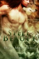 Okładka Steel Beauty