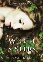 Okładka The Witch Sisters
