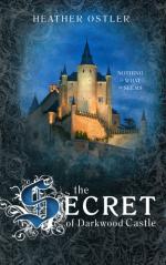 Okładka The Secret of Darkwood Castle