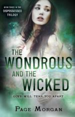 Okładka The Wondrous and the Wicked