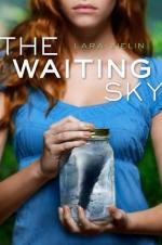 Okładka The Waiting Sky