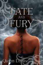 Okładka Fate and Fury