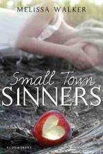 Okładka Small Town Sinners