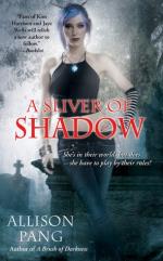 Okładka A Silver of Shadow