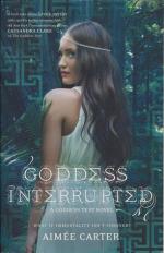 Okładka Goddess Interrupted
