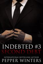 Okładka Second Debt