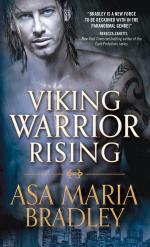 Okładka Viking Warrior Rising