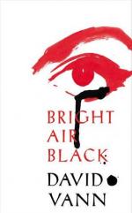Okładka Bright Air Black