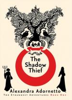 Okładka The Shadow Thief