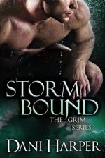 Okładka Storm Bound