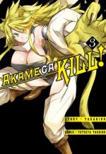 Okładka Akame ga kill! #3
