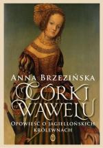 Okładka Córki Wawelu