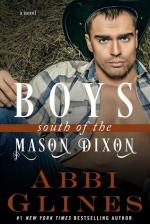 Okładka Boys South of the Mason Dixon
