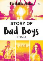 Okładka Story of Bad Boys. Tom 4