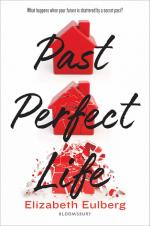 Okładka Past Perfect Life