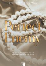 Okładka Perfect Enemy