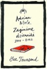 Okładka Adrian Mole Zaginione dzienniki 1999-2001