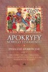 Okładka Apokryfy Nowego Testamentu. Ewangelie apokryficzne t.2