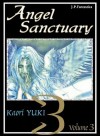 Okładka Angel Sanctuary 3