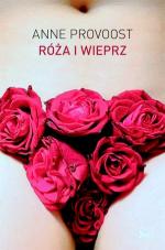 Okładka Róża i Wieprz