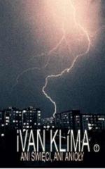 Okładka Ani święci, ani anioły