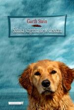 Okładka Sztuka ścigania się w deszczu