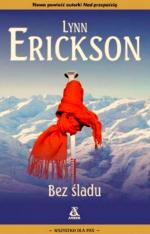 Okładka Bez śladu