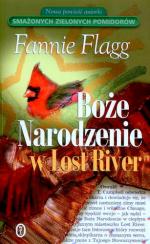 Boże narodzenie w Lost River