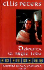 Okładka Dziewica w bryle lodu