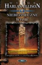 Okładka Niebezpieczne wizje