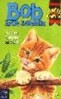 Okładka Bob - żywe sreberko