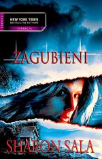 Okładka Zagubieni