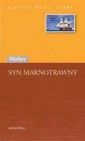 Okładka Syn marnotrawny