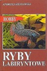 Okładka Ryby labiryntowe