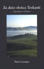 Okładka Za dużo słońca Toskanii