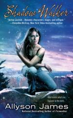 Okładka ShadowWalker