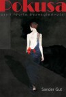 Okładka Pokusa