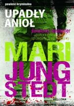 Okładka Upadły anioł