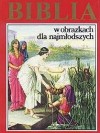 Okładka Biblia w obrazkach dla najmłodszych