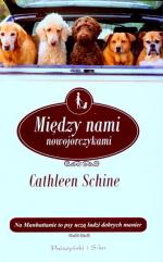 Okładka Między nami nowojorczykami