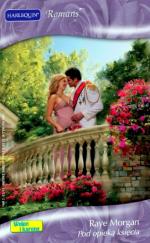 Okładka Pod opieką księcia