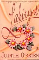 Okładka Labirynt
