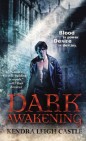 Okładka Dark Awakening